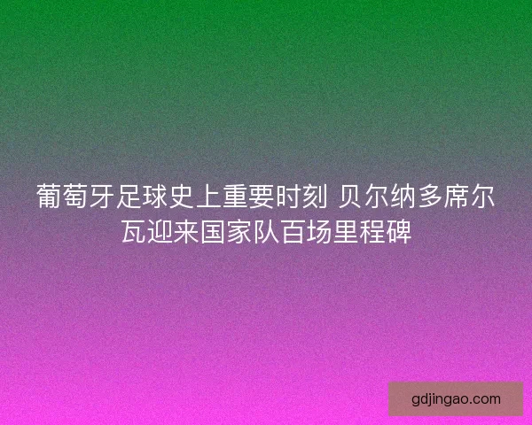 葡萄牙足球史上重要时刻 贝尔纳多席尔瓦迎来国家队百场里程碑