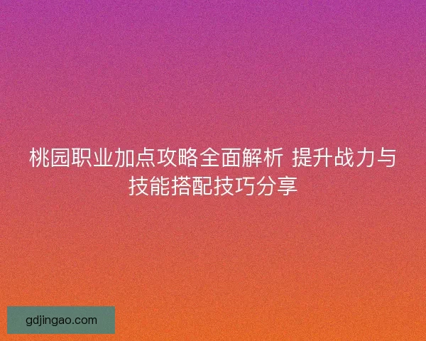 桃园职业加点攻略全面解析 提升战力与技能搭配技巧分享