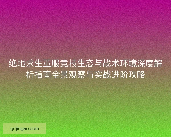 绝地求生亚服竞技生态与战术环境深度解析指南全景观察与实战进阶攻略