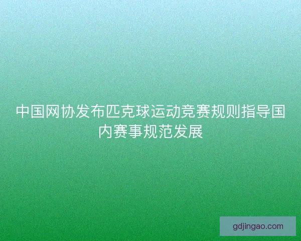 中国网协发布匹克球运动竞赛规则指导国内赛事规范发展 中国网协发布匹克球运动竞赛规则指导国内赛事规范发展