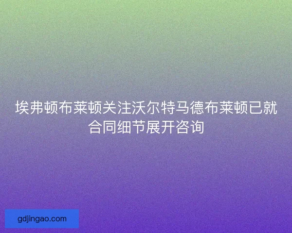 埃弗顿布莱顿关注沃尔特马德布莱顿已就合同细节展开咨询
