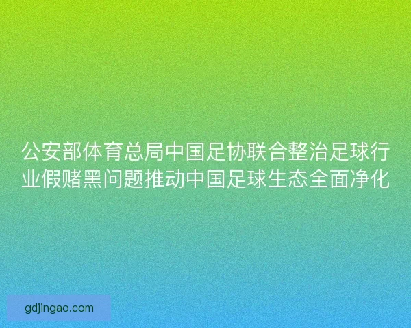 公安部体育总局中国足协联合整治足球行业假赌黑问题推动中国足球生态全面净化
